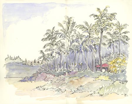 Pupu Hut, D.T. Fleming Beach sketch_pupu_hut_fleming_beach