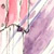Excerpt Thumbnail Excerpt Thumbnail