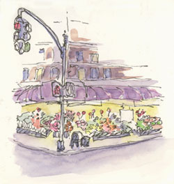 Second Avenu e Farm sketch_ny_produce_store