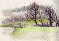 Mari's Oregon Sketchbook sketchbook_oregon