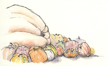 Giant Pumpkin sketch_pumpkins