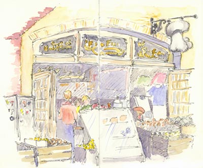 Far West Fungi sketch_mushroom_store
