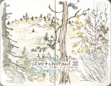 Cafe Fanny, Berkeley sketch_cafe_fanny_berkeley