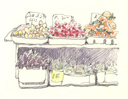 Produce on Jackson Street, Chinatown, San Francisco sketch_chinatown_produce