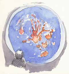 Sea Nettle Jellyfish sketch_jellyfish_monterey