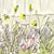 Excerpt Thumbnail