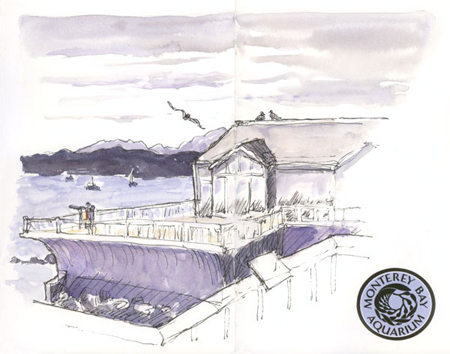 Monterey Aquarium sketch_monterey_aquarium