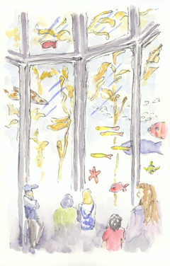 Kelp Forest sketch_aquarium_kelp