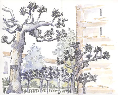 UC Berkeley, Campanile Tower sketch_berkeley_campanile