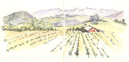 Domaine Carneros sketch_carneros