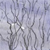 Excerpt Thumbnail