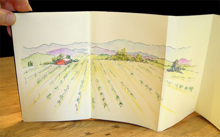 moly_x_20 Book, Napa Sketch sketch_vineyard
