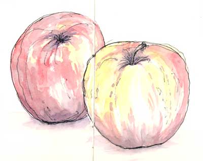 Still Life: Apples apple sketch